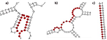 secundary structures small